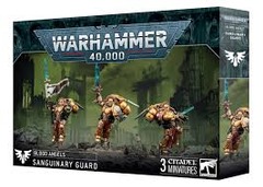 41-31 Blood Angels: Sanguinary Guard